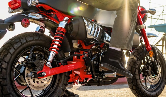 Twin Rear Shocks Twin Rear Shocks