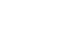 Throttle Limiter