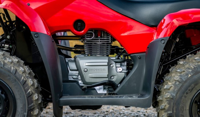 OHV 4-Stroke Engine